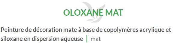 OLOXANE MAT (15L) en stock
