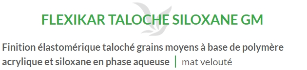 FLEXIKAR TALOCHE GM (25KG)